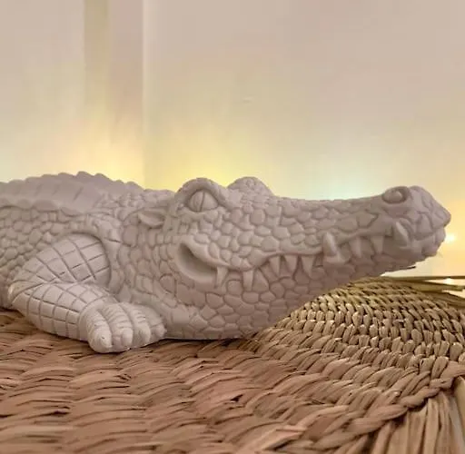 Appartement Le Petit Cocon Nimois Nîmes